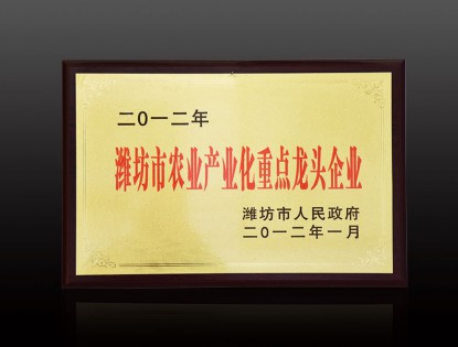 資質(zhì)榮譽(yù)