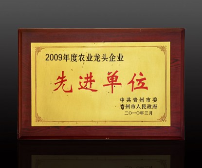 資質(zhì)榮譽