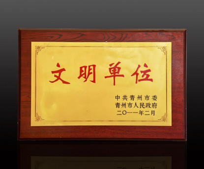資質(zhì)榮譽