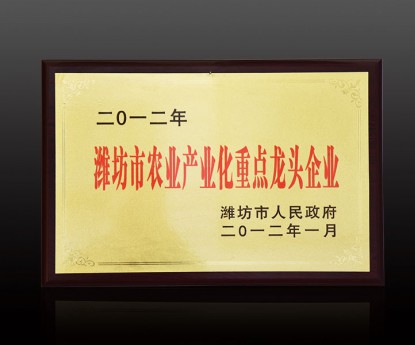 資質(zhì)榮譽