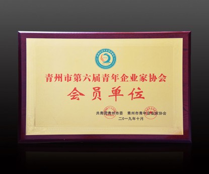 資質(zhì)榮譽